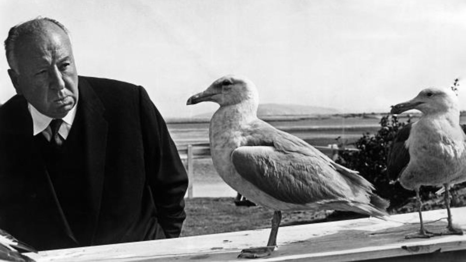Alfred Hitchcock s'acosta a un parell de gavines mentre es rodava ‘Els ocells’. EFE