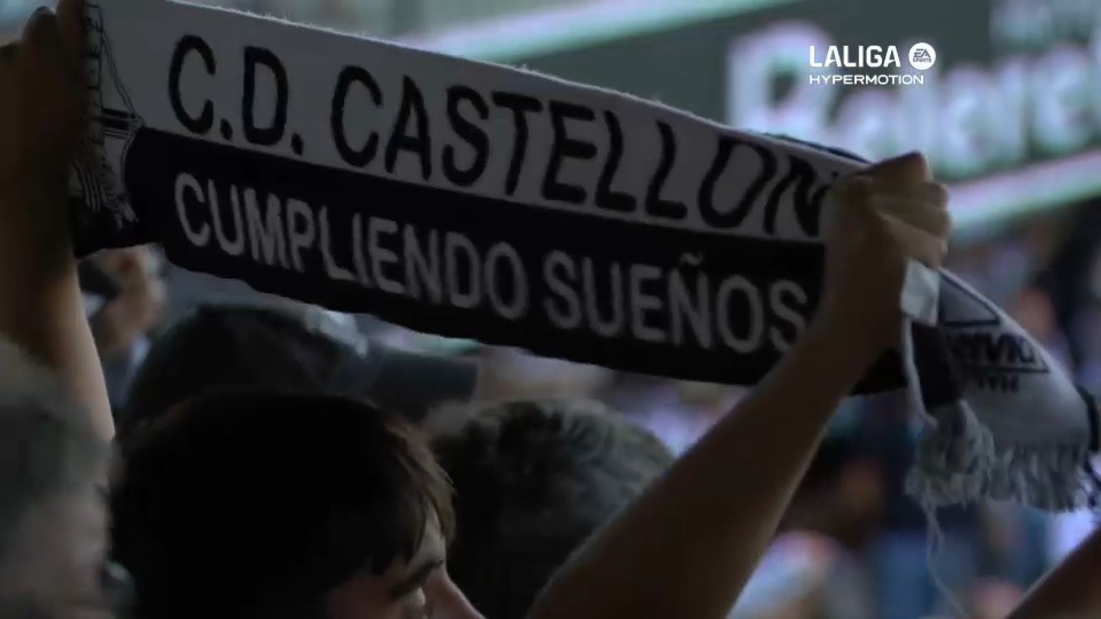 Imatge d'un aficionat a un partit del Castelló