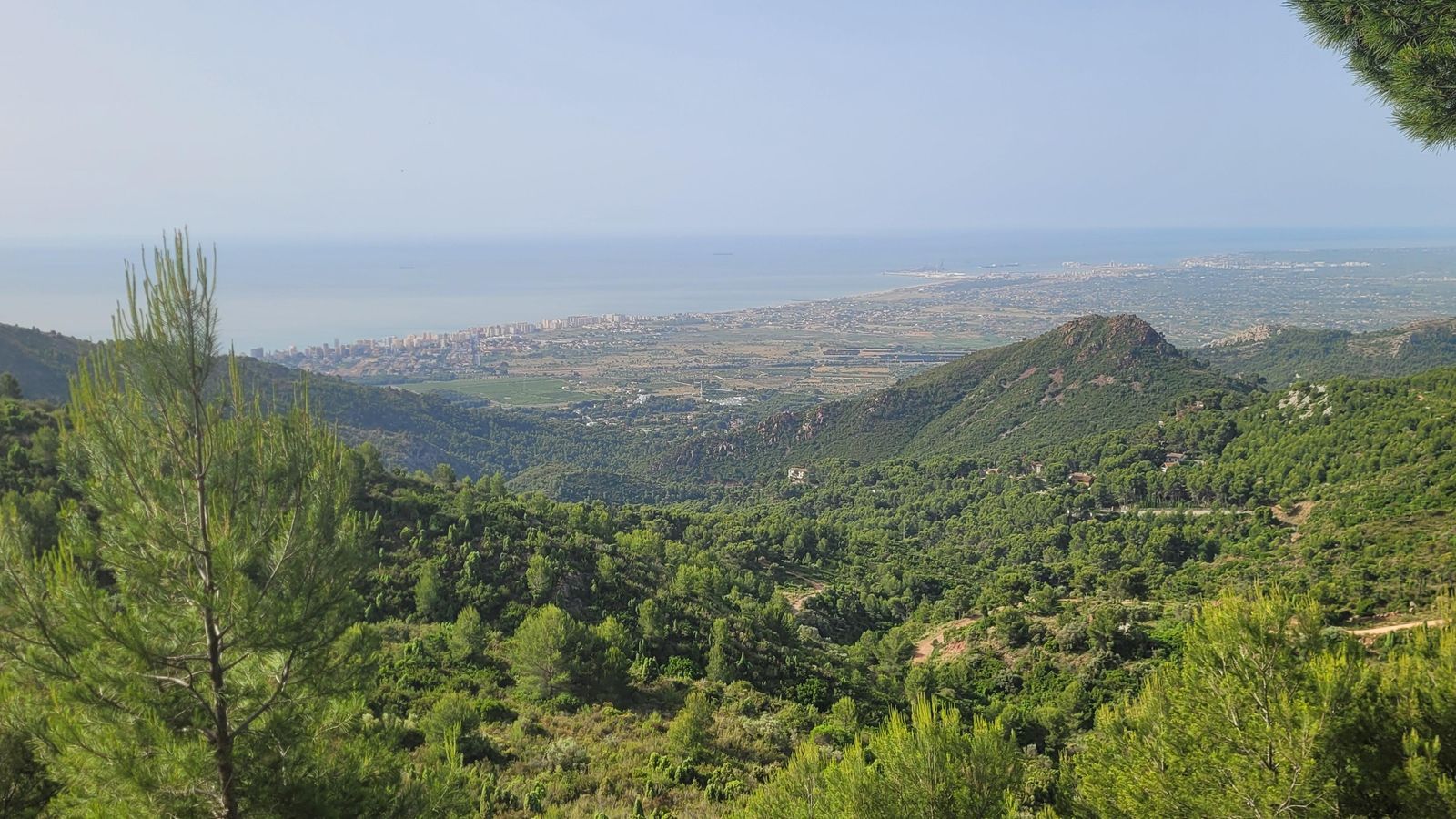 8.EL DESERT DE LES PALMES, LA PLANA ALTA, JORDI MONFORT