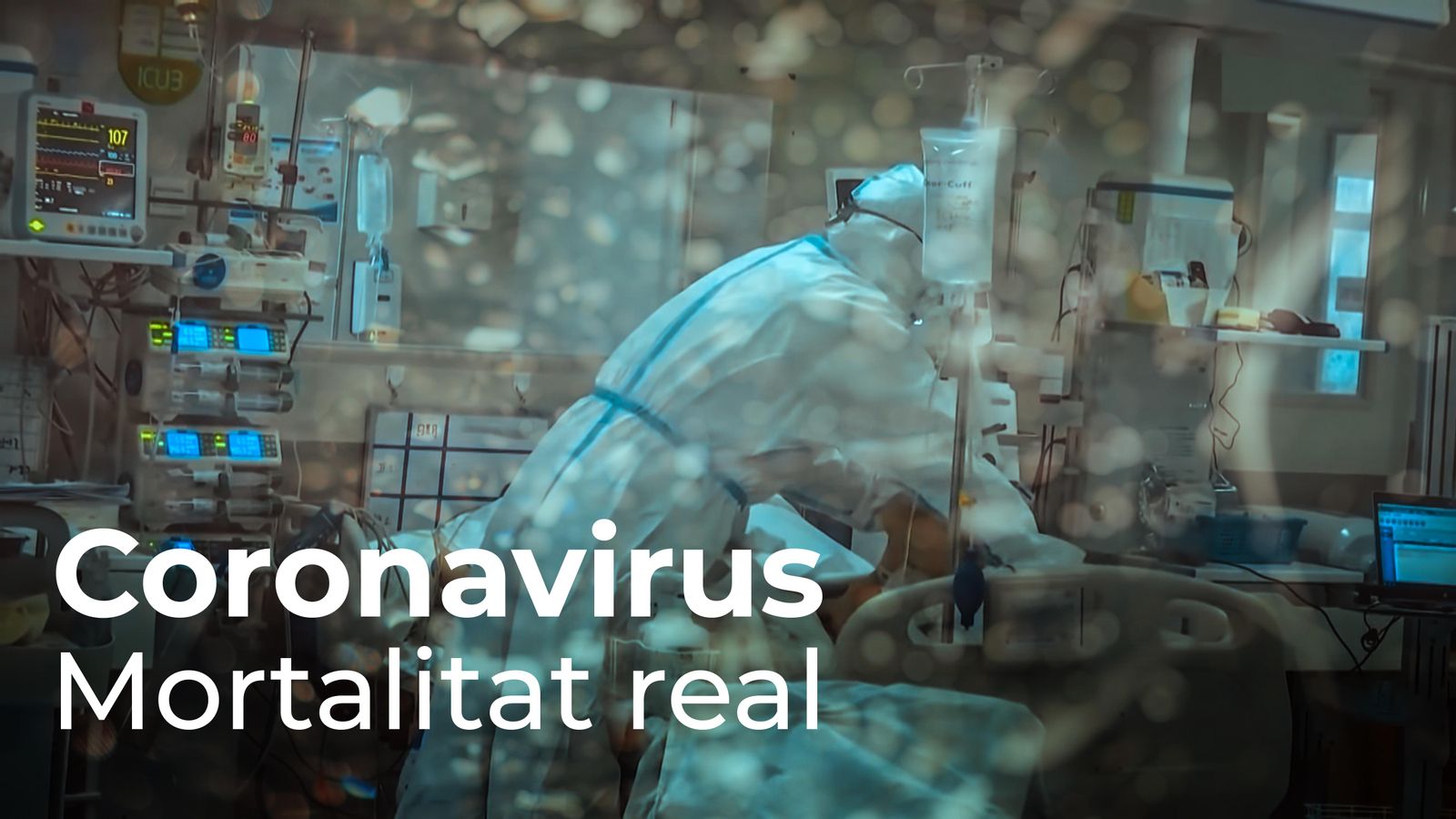 Coronavirus. Mortalitat real