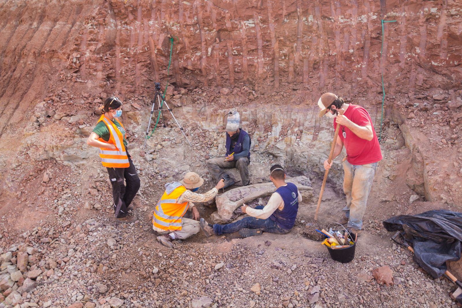 L'equip arqueològic que ha descobert el fèmur de titanosaure durant les tasques d'excavació