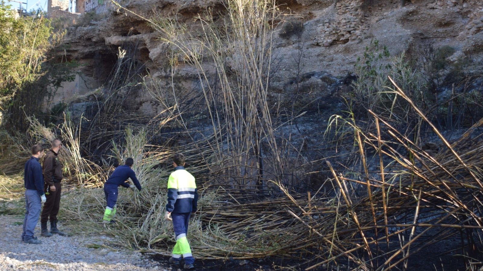 Els incendiaris s'han capficat a cremar la zona que s'ubica entre la Casa de les Reixes i el pont de la via del tren