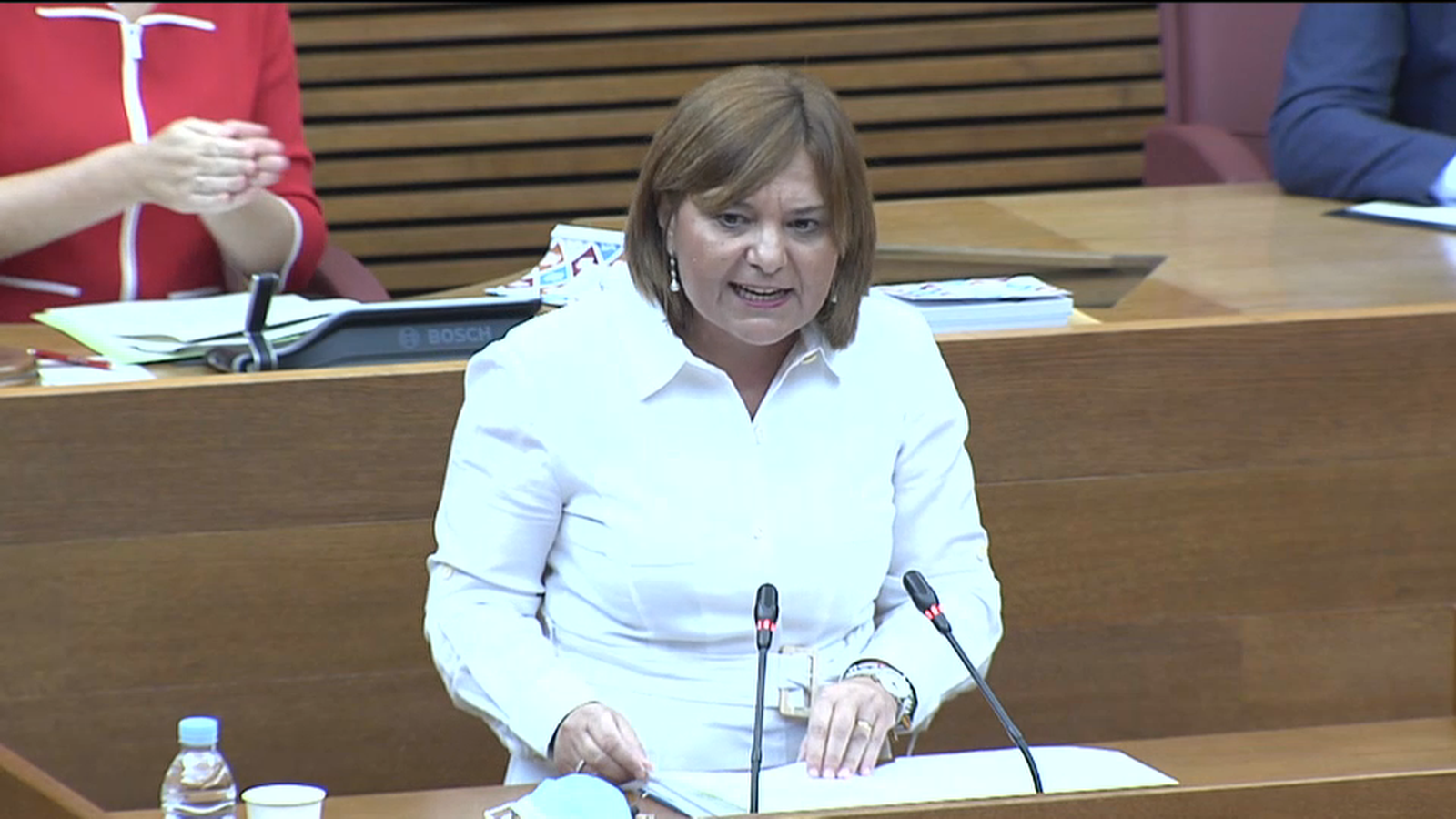 Bonig, aquest matí, durant la seua intervenció.