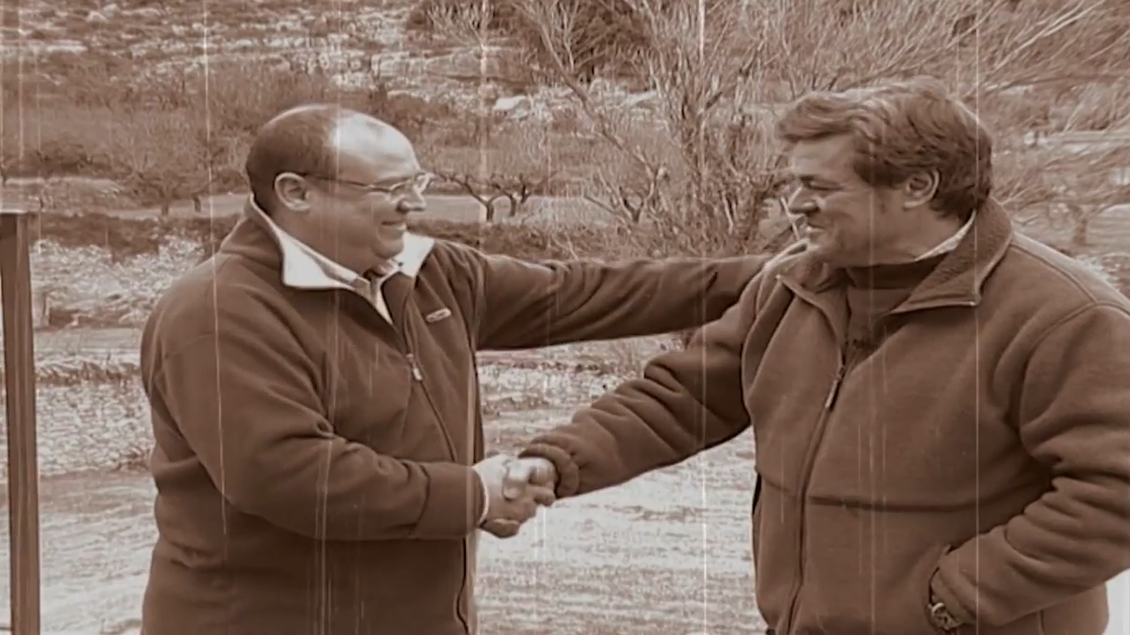 La coliflor està bona... amb arròs