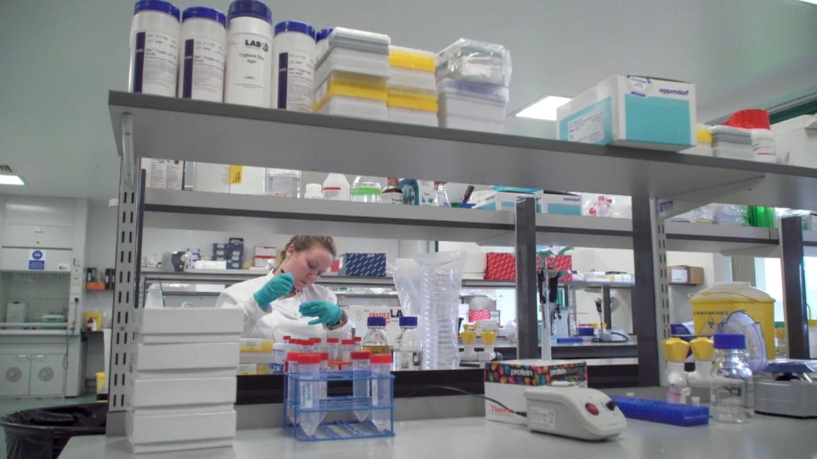 VÍDEO | Els bacteris resistents als antibiòtics causen 3.000 morts a l\'any a Espanya