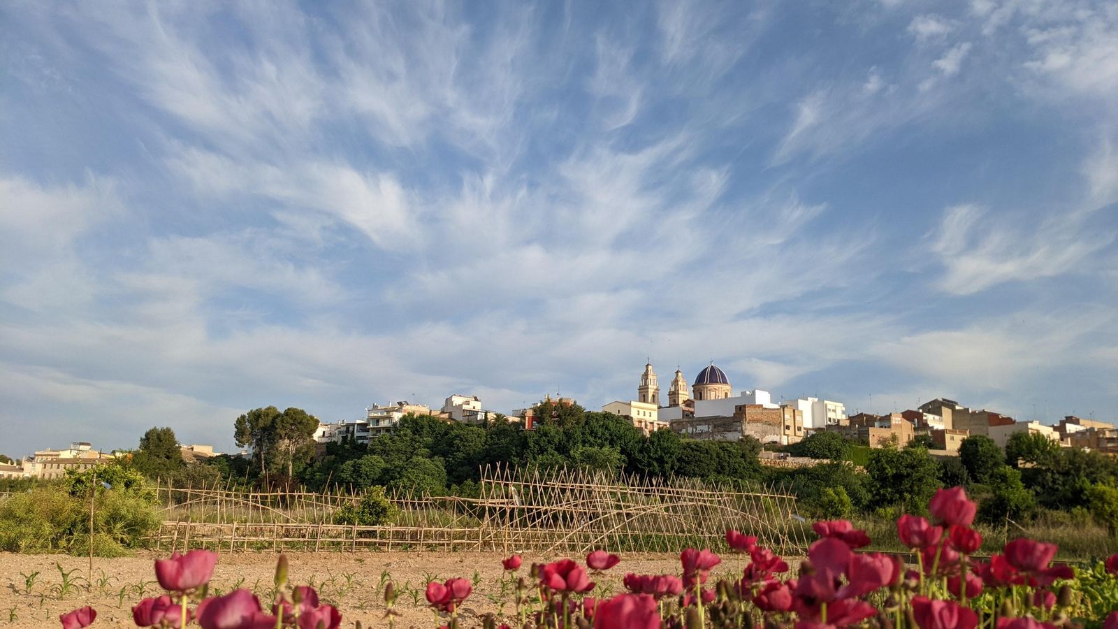 RIBA ROJA DE TÚRIA, EL CAMP DE TÚRIA