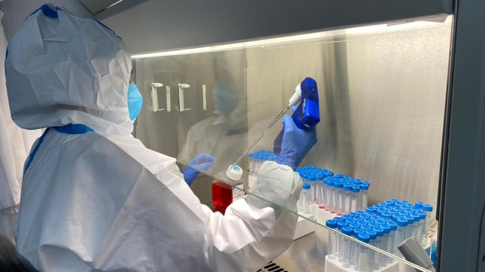 Personal de laboratori treballa amb proves PCR, en una imatge d'arxiu