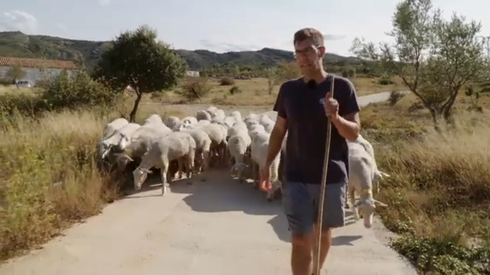 De mar i bancal | Temporada d'ametles