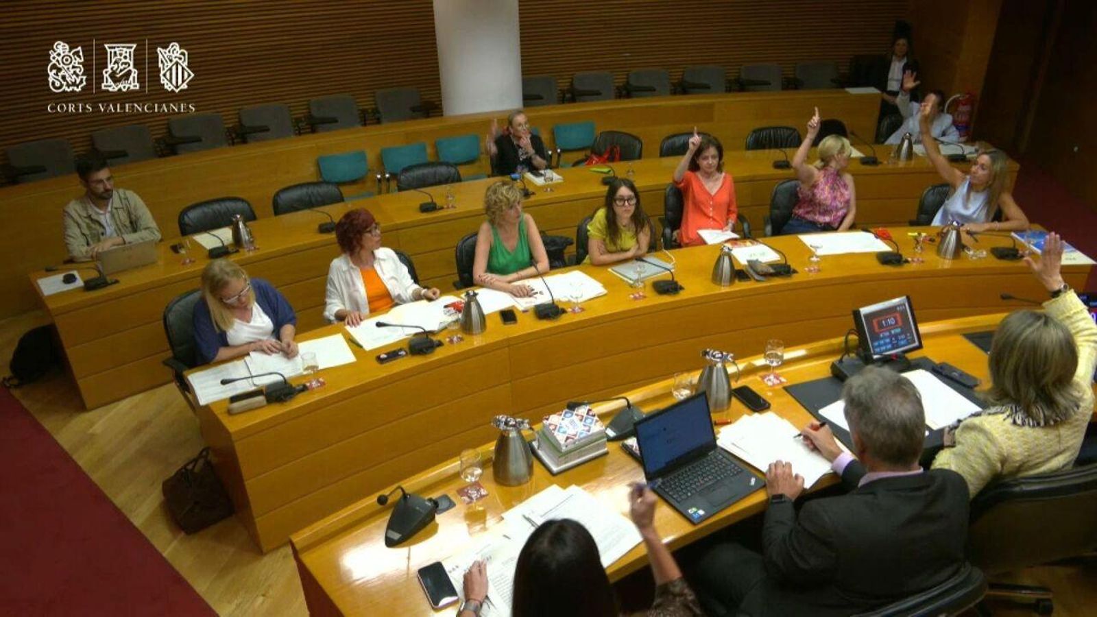 PP i Vox voten en contra de les propossicions de llei a la comissió d'Igualtat