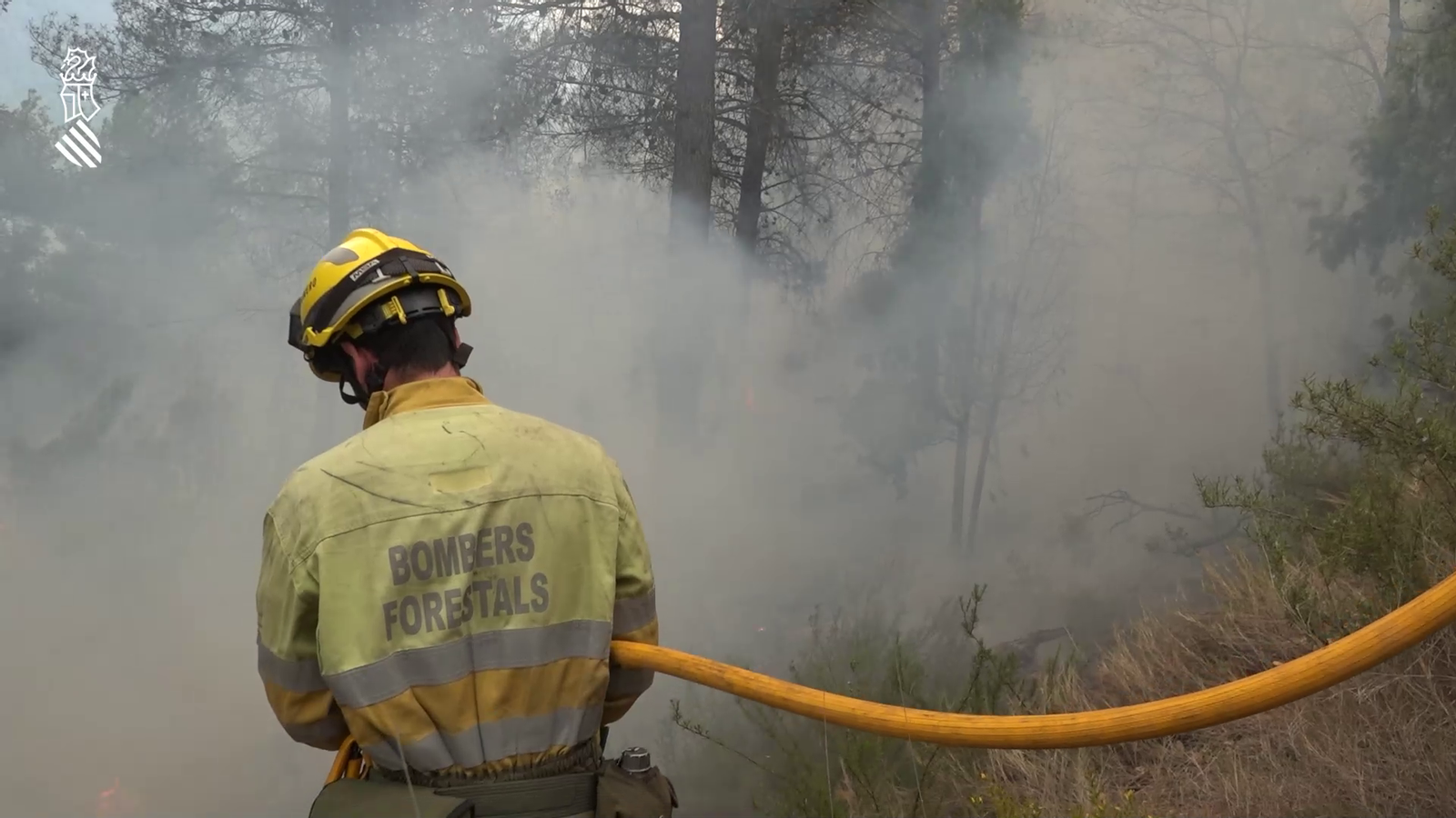 Bomber forestal a l'incendi de Vilanova de Viver