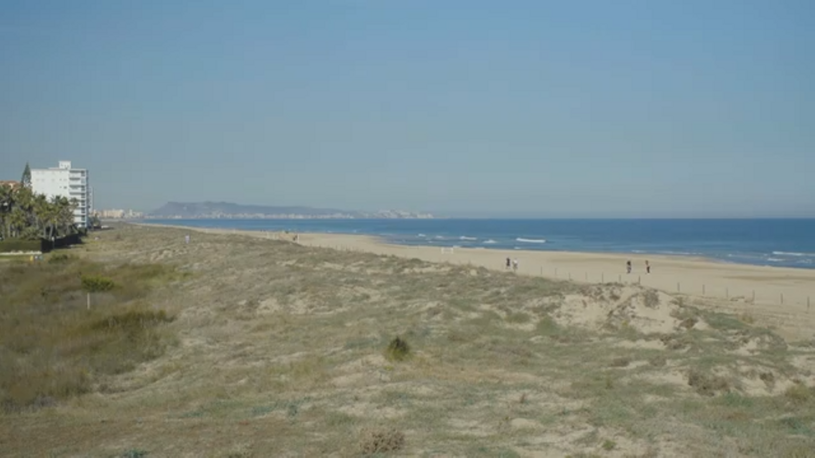 14.08.2023 | Terra Viva