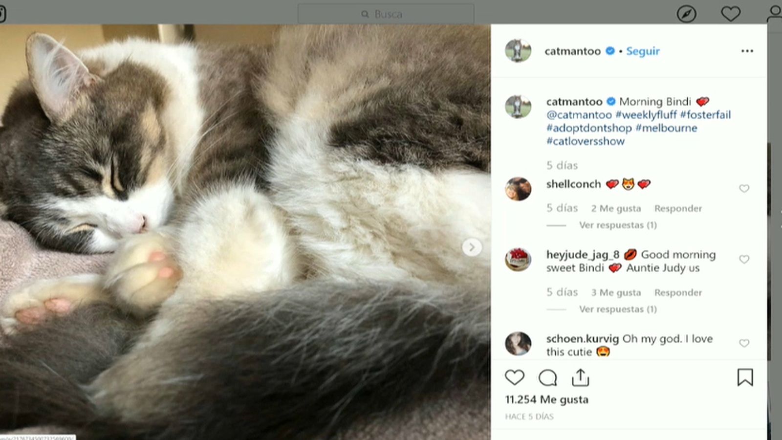 Quins són els ingredients que fan un contingut viral?