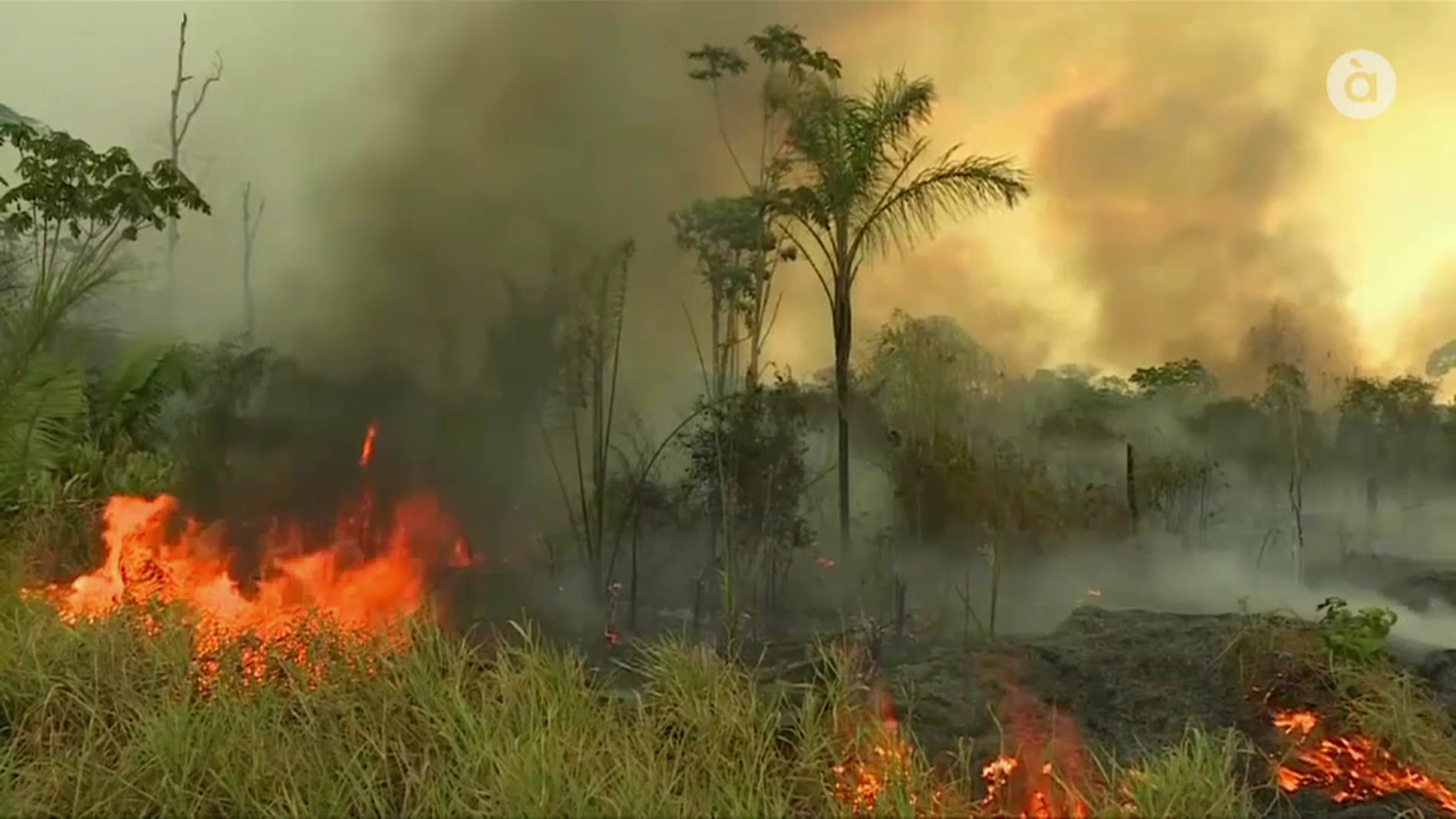 VÍDEO | La Unió Europea envia ajudes per a extingir els incendis a l\'Amazònia