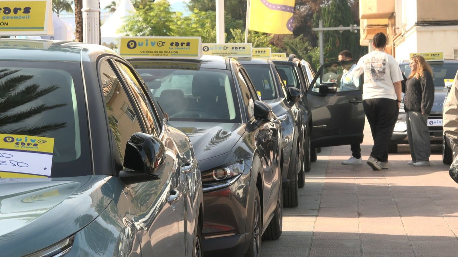 Una filera de cotxes de la Fira d'Ocasió de Gandia amb algunes persones observant els cotxes