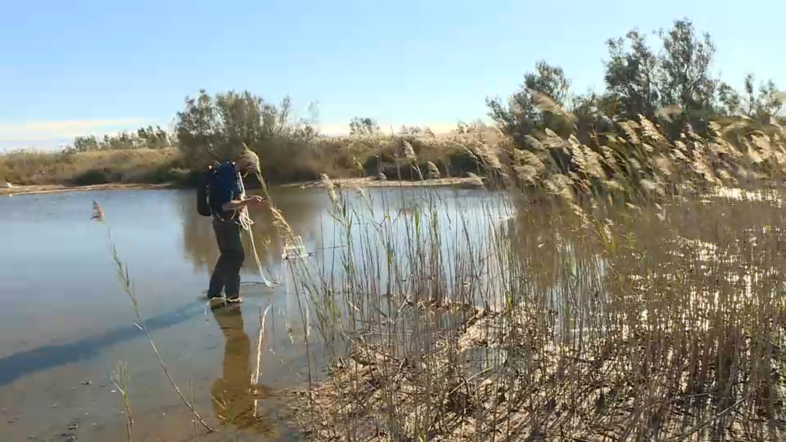 Un dels llocs on estan treballant els investigadors és la Marjal dels Moros, entre Sagunt i Puçol