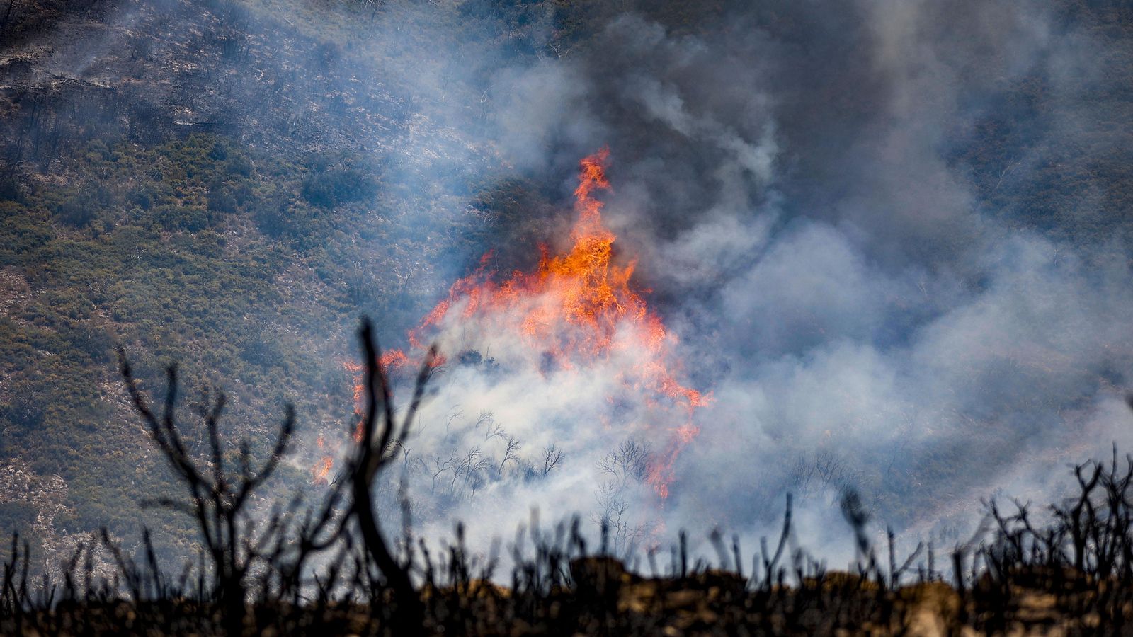 Incendi forestal que va des de les Alcubles fins a Begis, Teresa, Toràs i Altura
