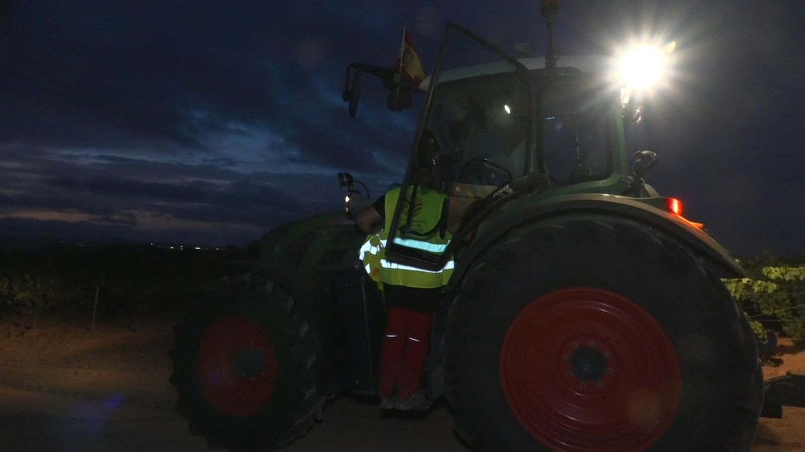 Verema nocturna