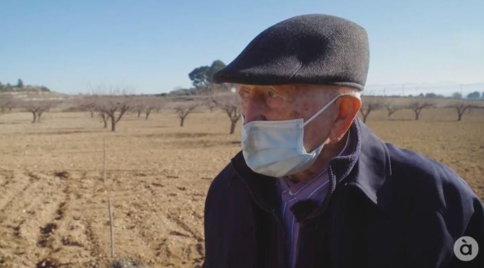 El tio Pepe, conegut a Aielo de Malferit com a Bobi, a punt de fer els 100 anys i encara treballa la seua terra
