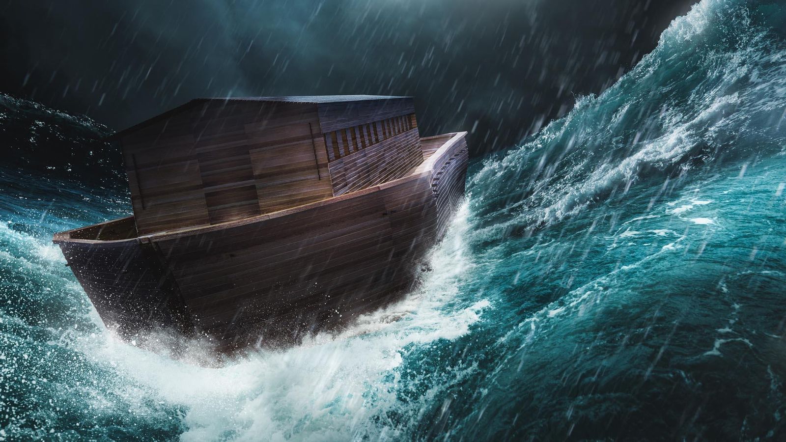 L'arca de les mosques