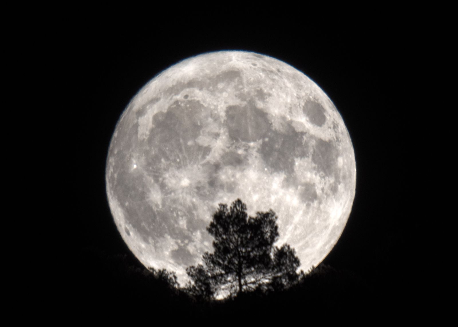 Bocairent (Vall d'Albaida)