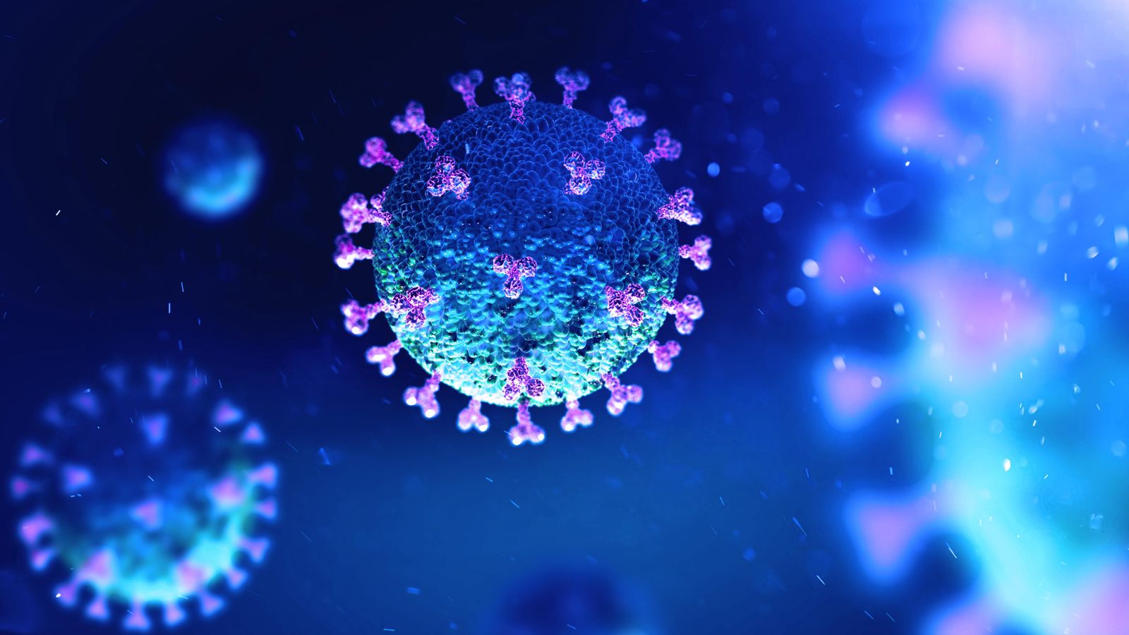 Soca de coronavirus sota el microscopi
