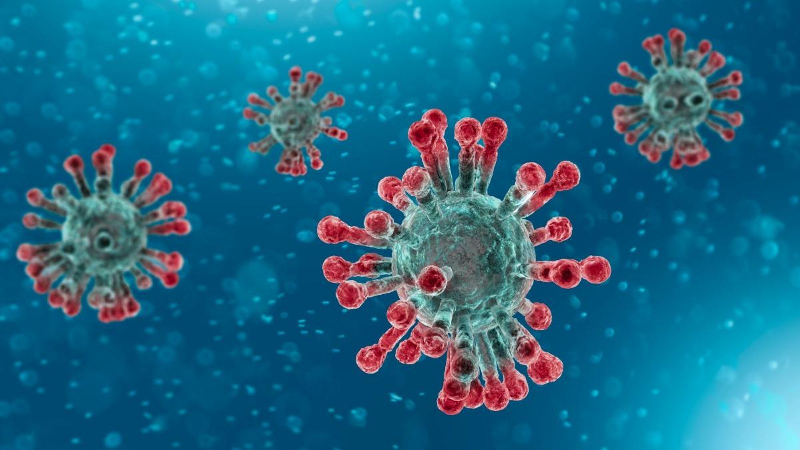 Imatge microscòpia del coronavirus