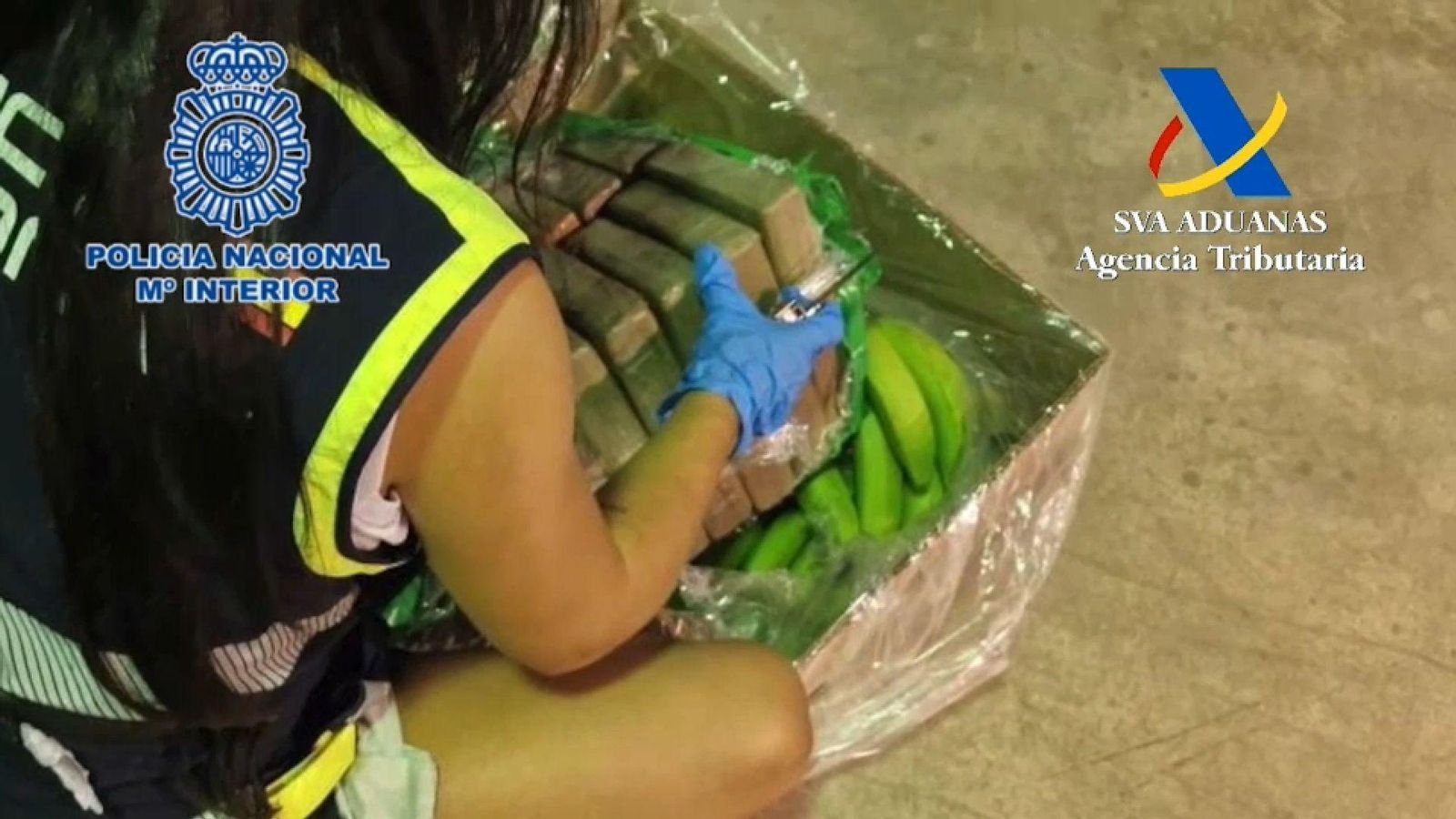 Cocaïna confiscata Alacant