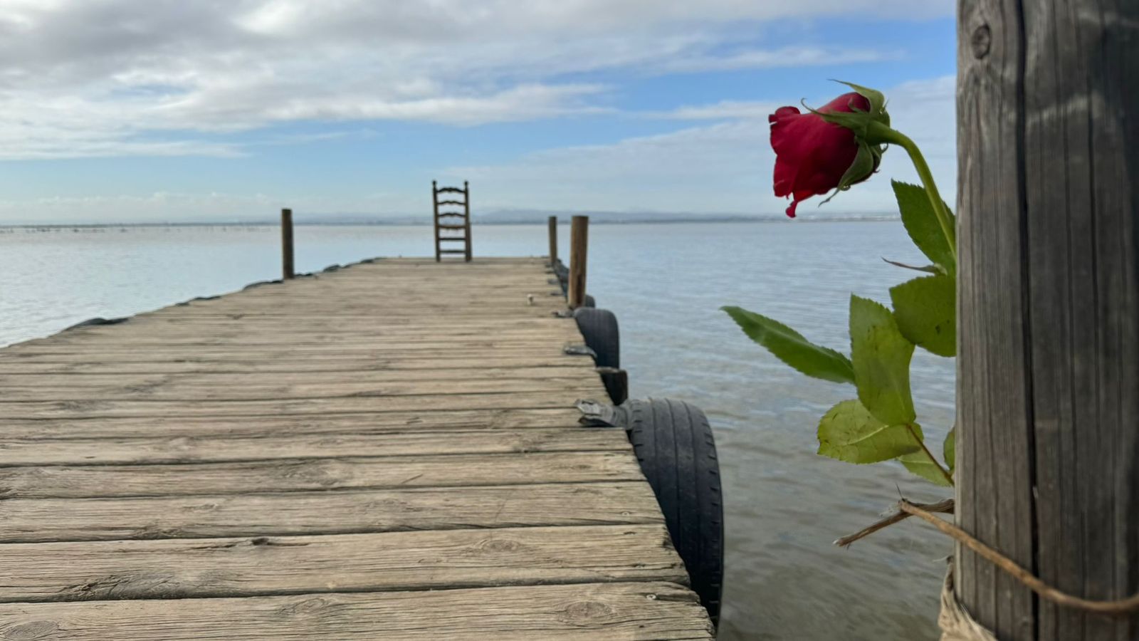 Una rosa penja en un post de l'Albufera