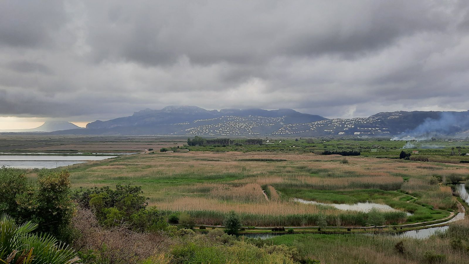 FRANCESC PIERA, Marjal de Pego Oliva