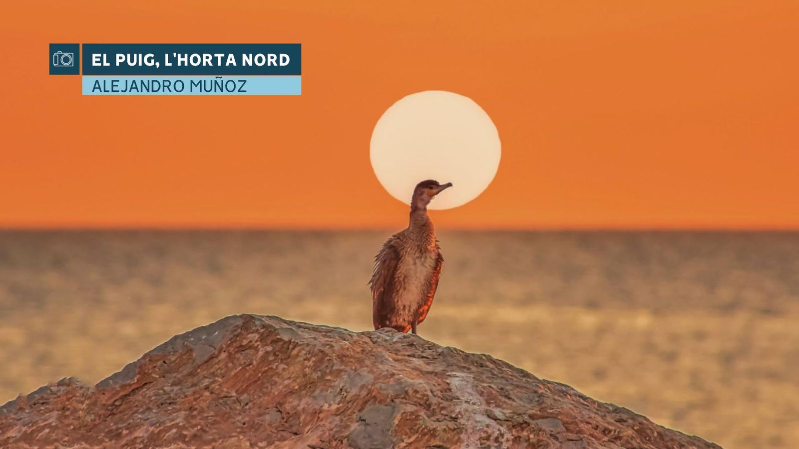 Inici d'estiu mai abans registrat