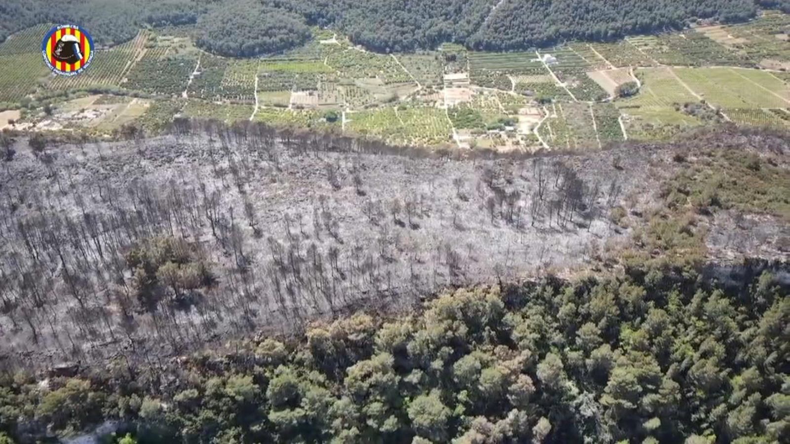 Imatges de dron de l'incendi d'Alzira amb imatge real i càmera tèrmica