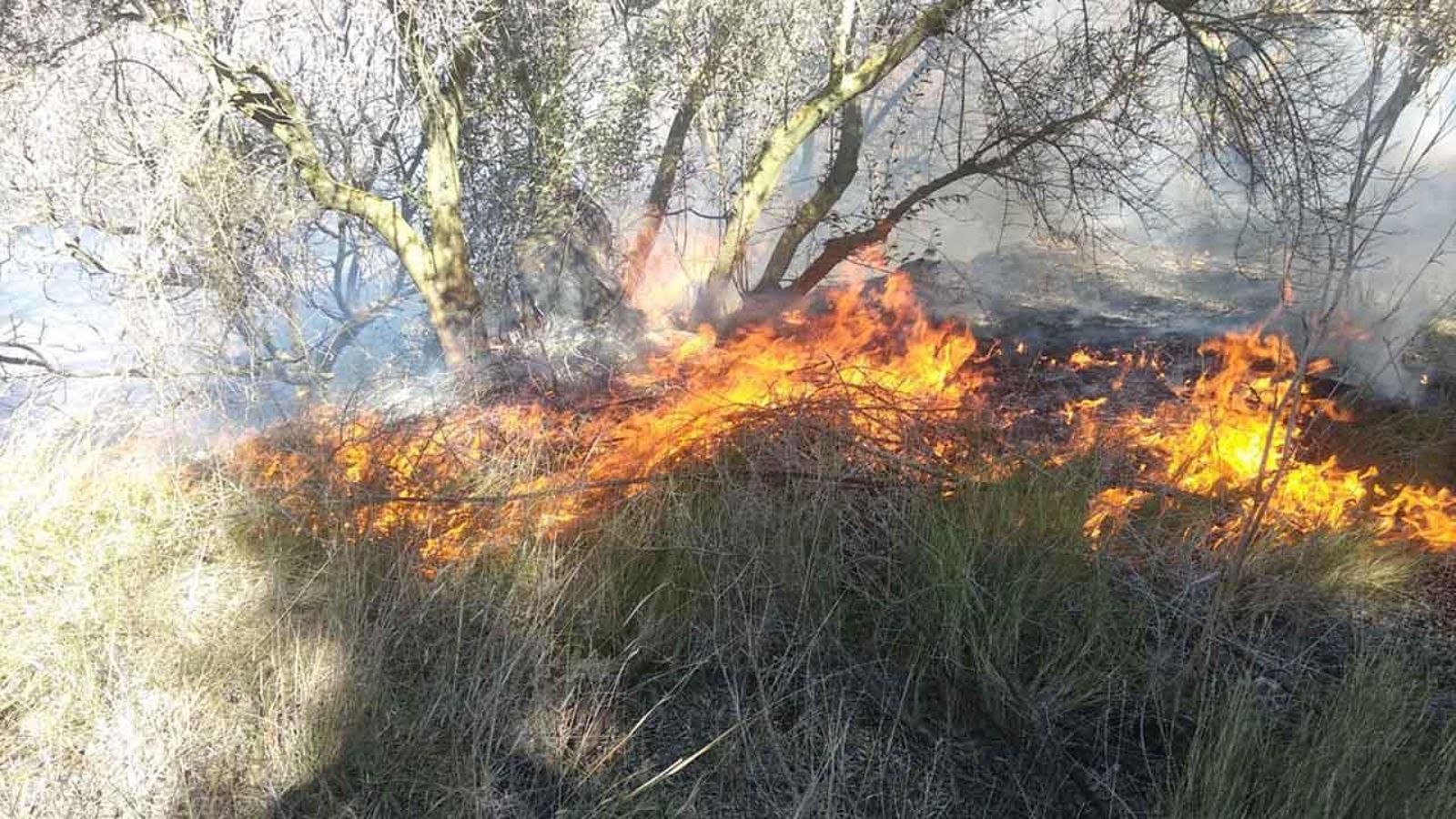 Imatges de l'incendi forestal de Xèrica, a l'Alt Palància