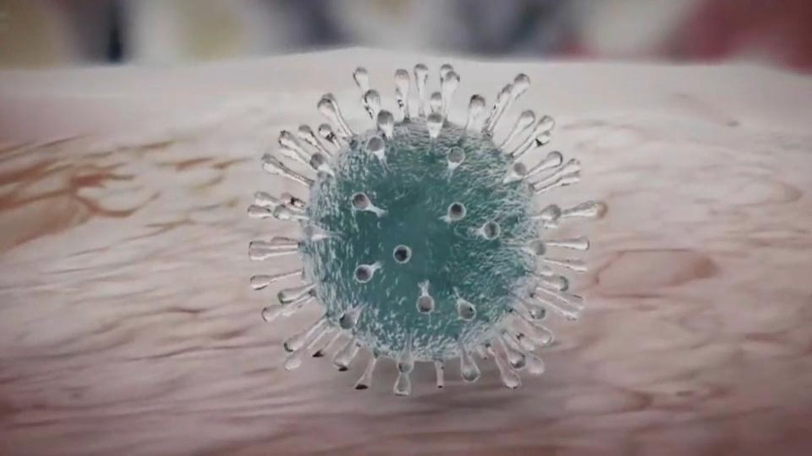 Imatge de simulació informàtica d’un coronavirus