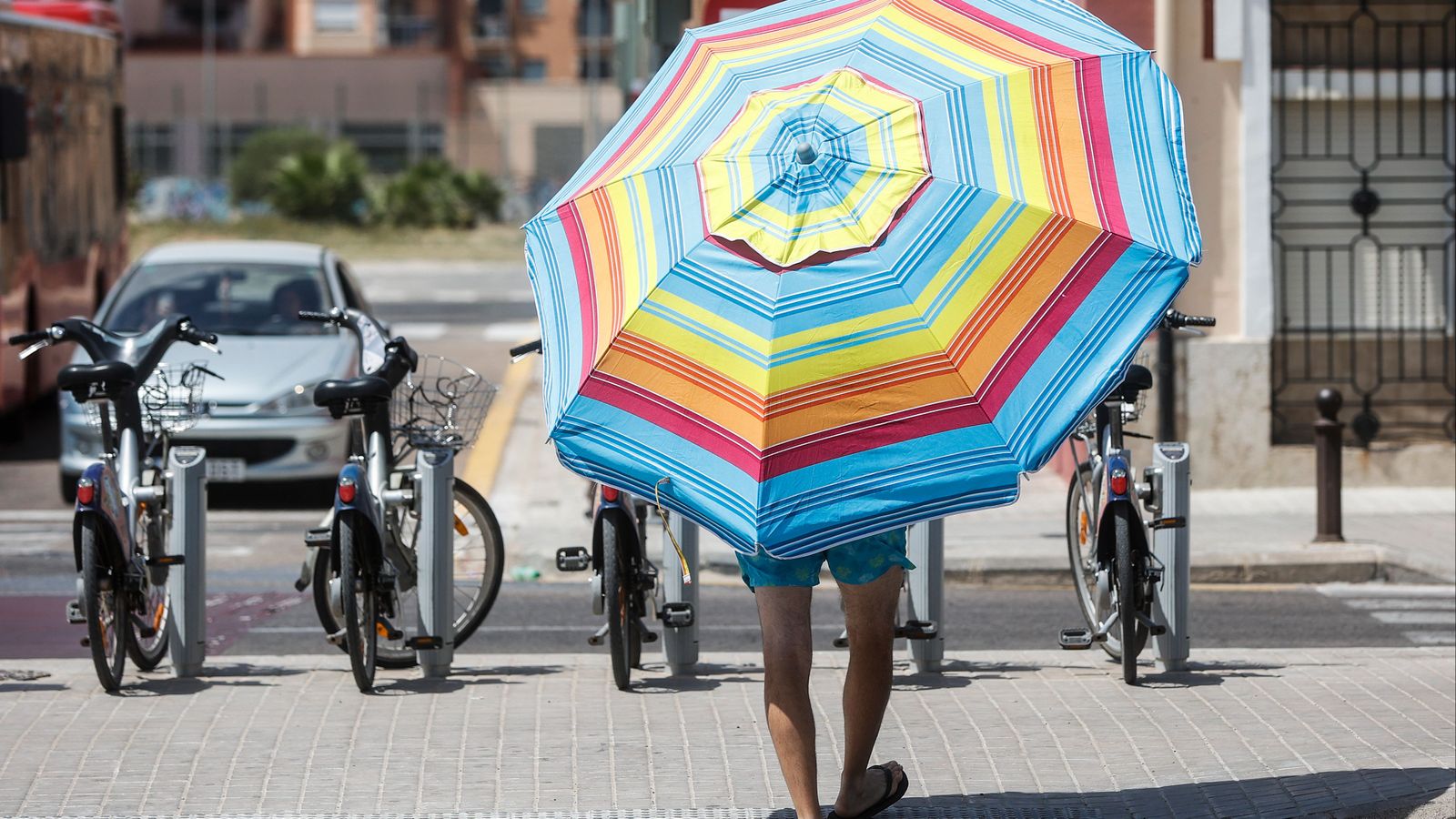 La calor que es registrava pràcticament en tot el territori obligava este dissabte a buscar l'ombra