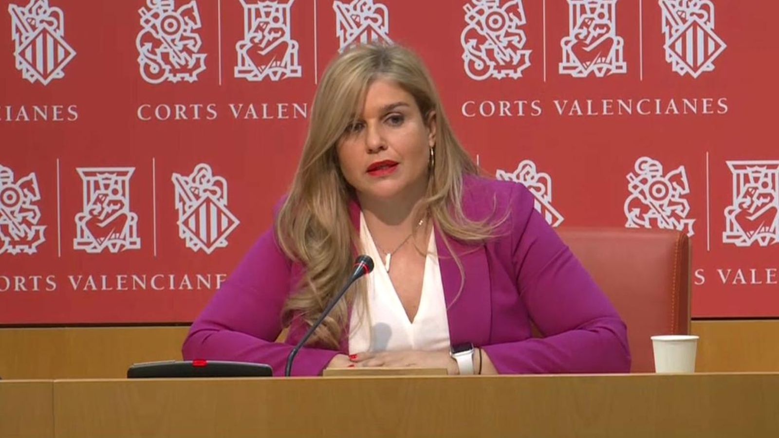 El PP demana la compareixença de Puig i d'Alfred Costa després de la sanció a empreses del germà del cap del Consell