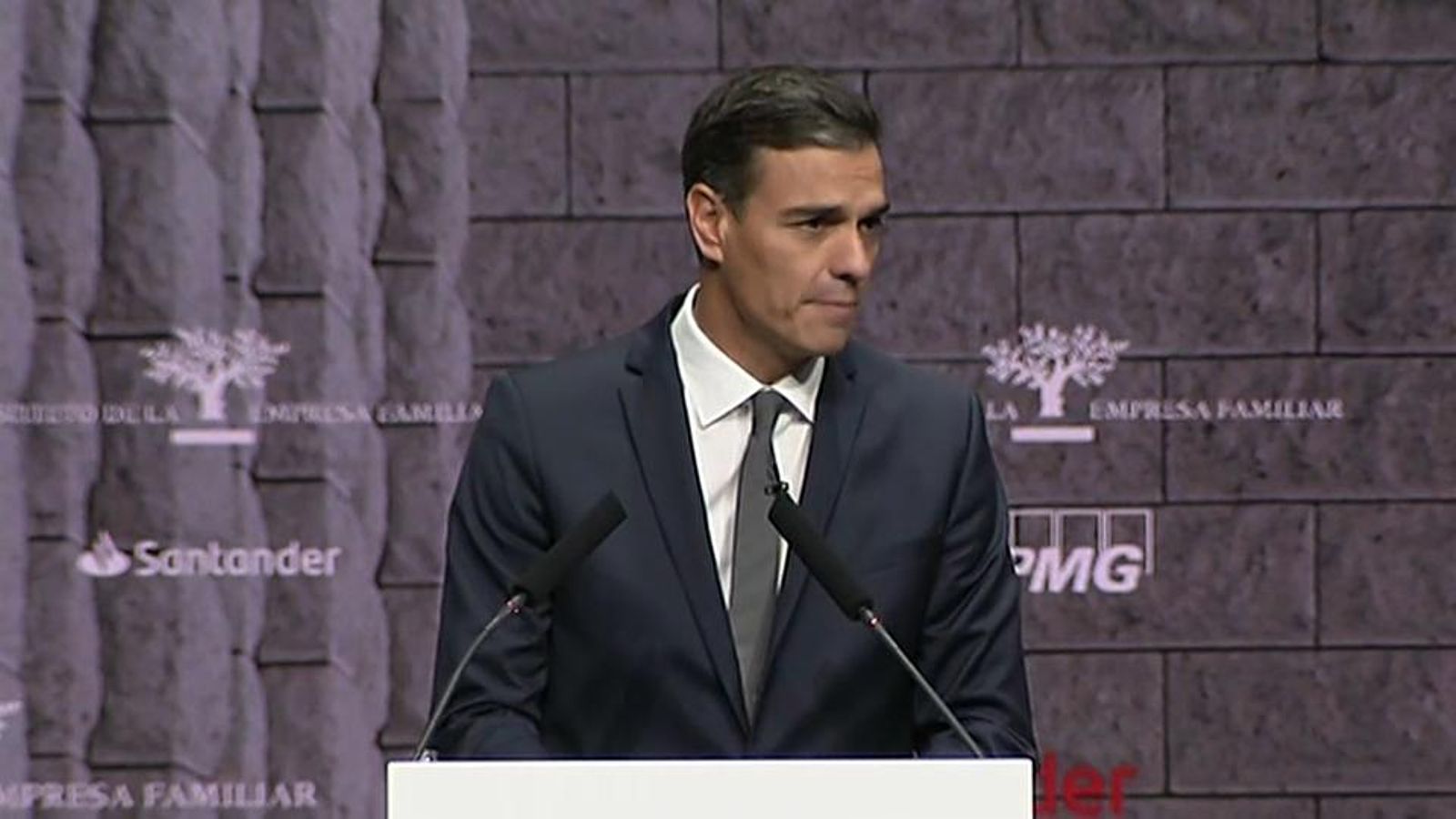 Pedro Sánchez, durant la intervenció en el congrés
