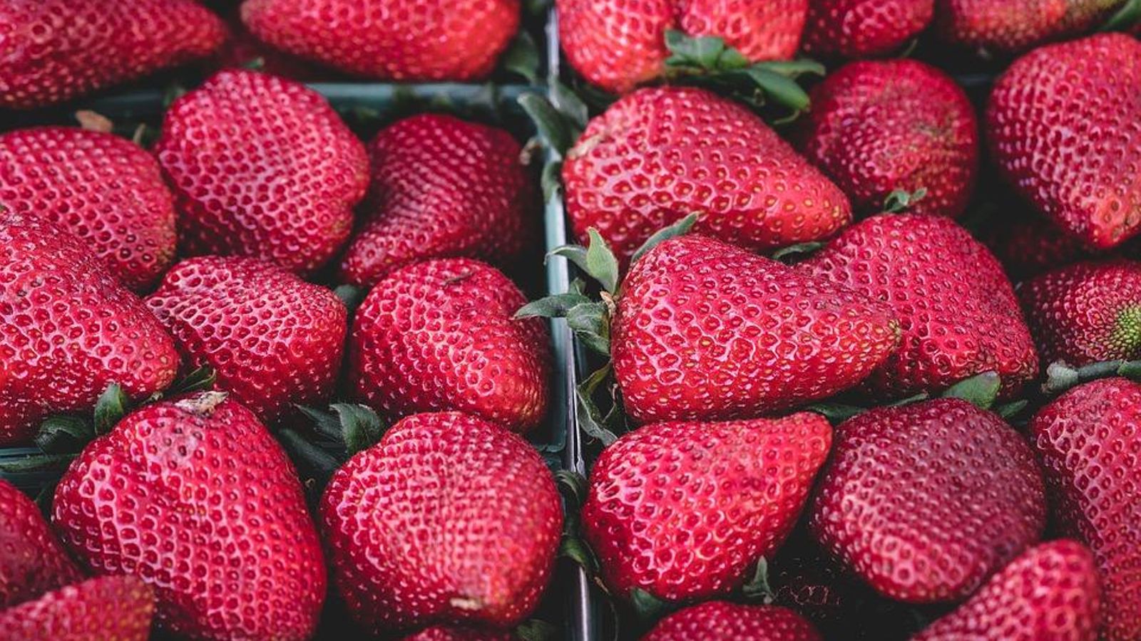 Llancen una campanya per a fomentar el consum de fruites i verdures a les escoles