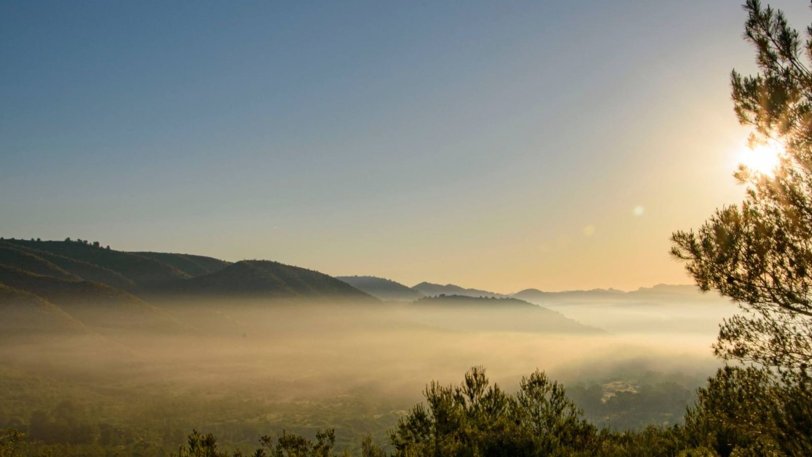 M NIEVES SÁNCHEZ, L'Olleria, la Vall d'Albaida LLUNA 3