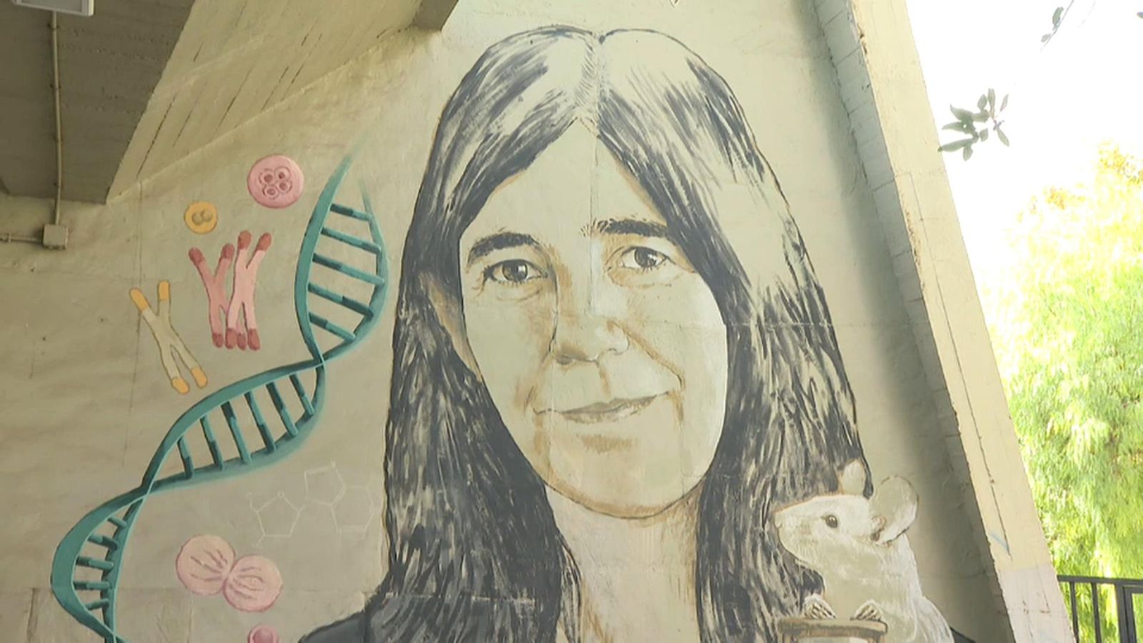 Inauguració del mural de María Blasco