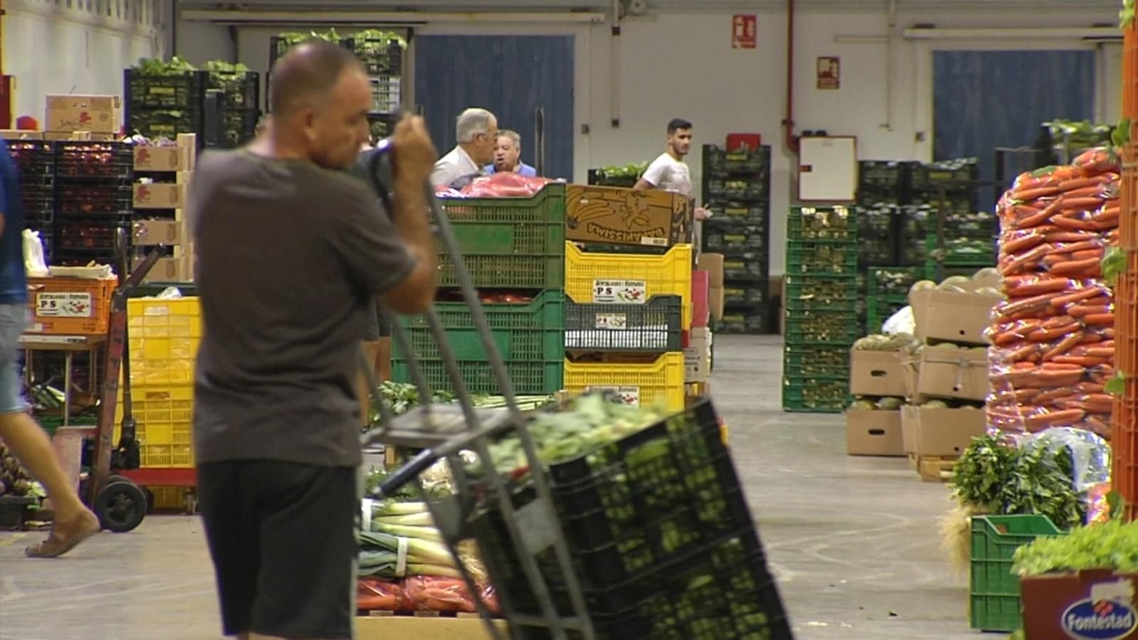 Mercavalència durant la celebració del Dia de l'Agricultura