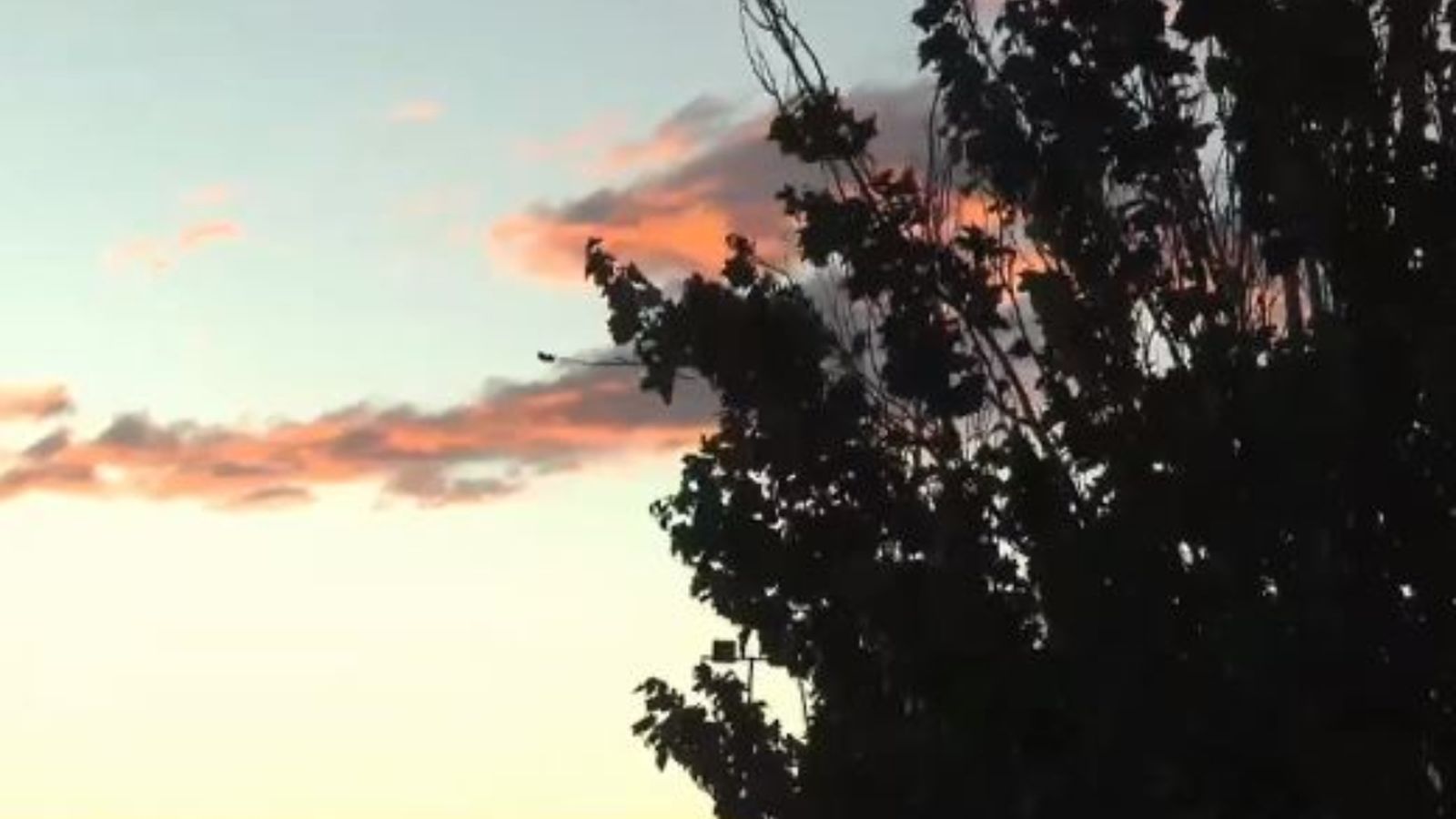 Les fortes ratxes de vent arriben als 88 quilòmetres per hora a Vilafranca