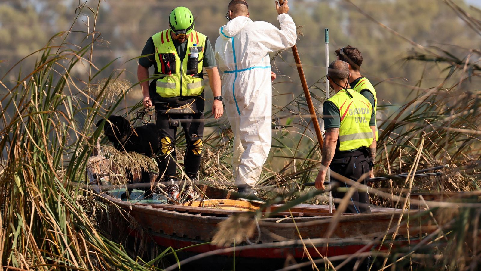 Efectius de la Guàrdia Civil patrullen els arrossars de l'Albufera a la recerca de víctimes de la DANA