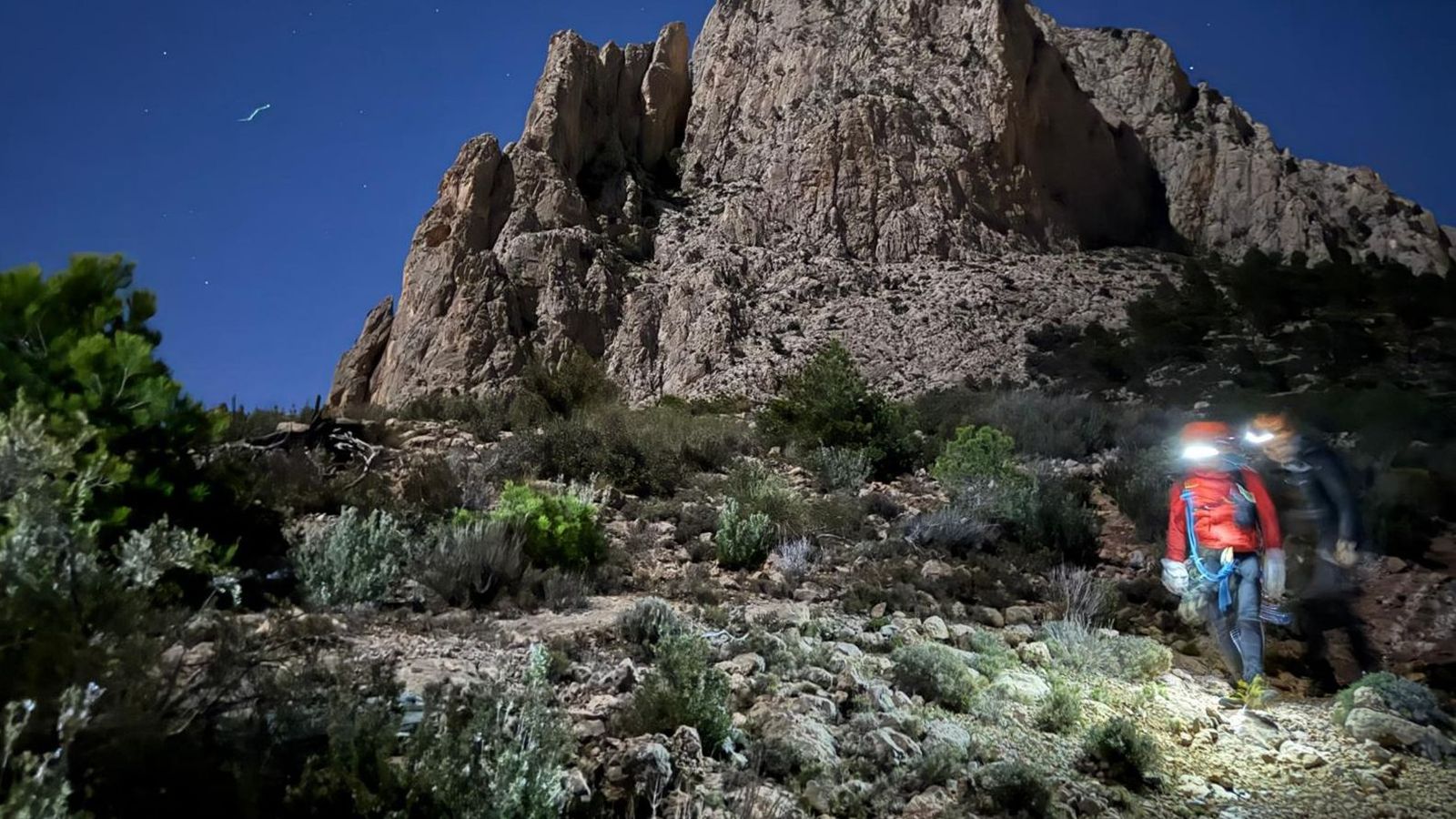 WhatsApp Image 2024 12 15 at 18.10.06