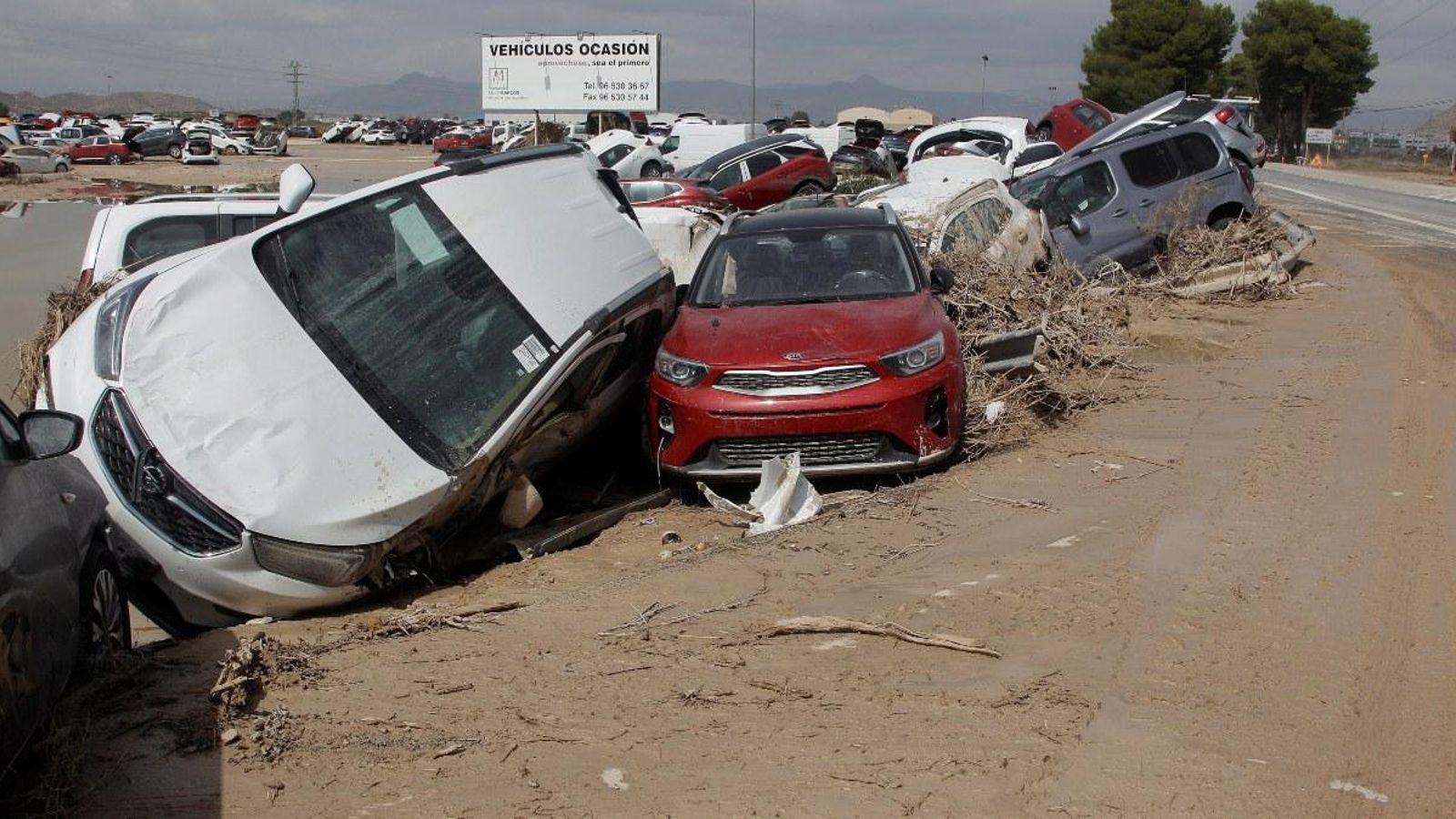En imatge, els desperfectes causats per la gota freda en un concessionari d'Oriola