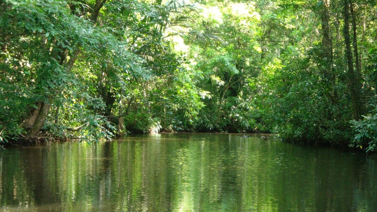 La víctima visitava el parc natural de Tortuguero, al nord del país