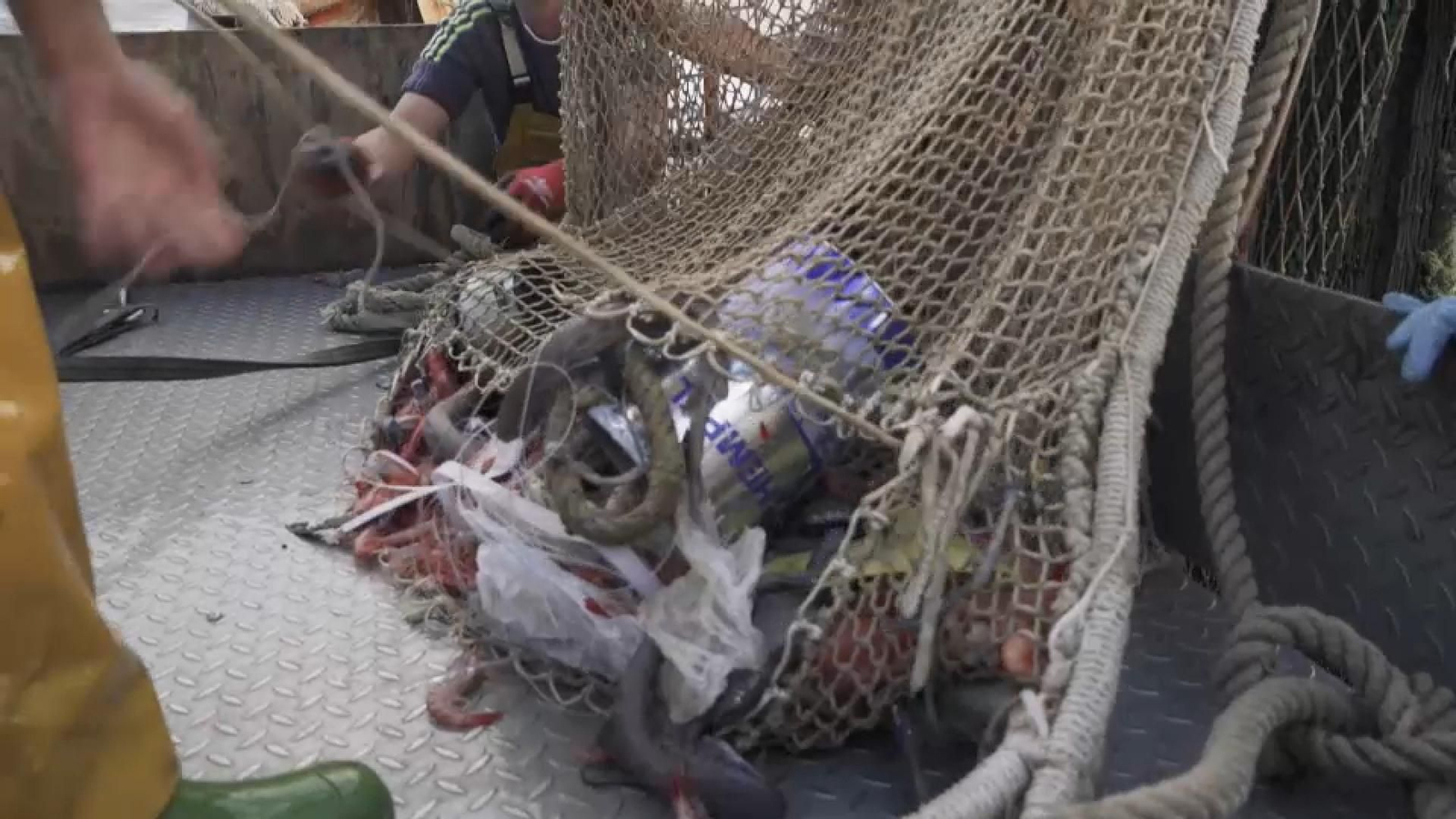 Llaunes, pots, envasos de plàstic, aquesta és la sorpresa que es troben els pescadors de la Confraria de Castelló. Els ecologistes denuncien que la mar s'ha convertit en el gran abocador mundial.