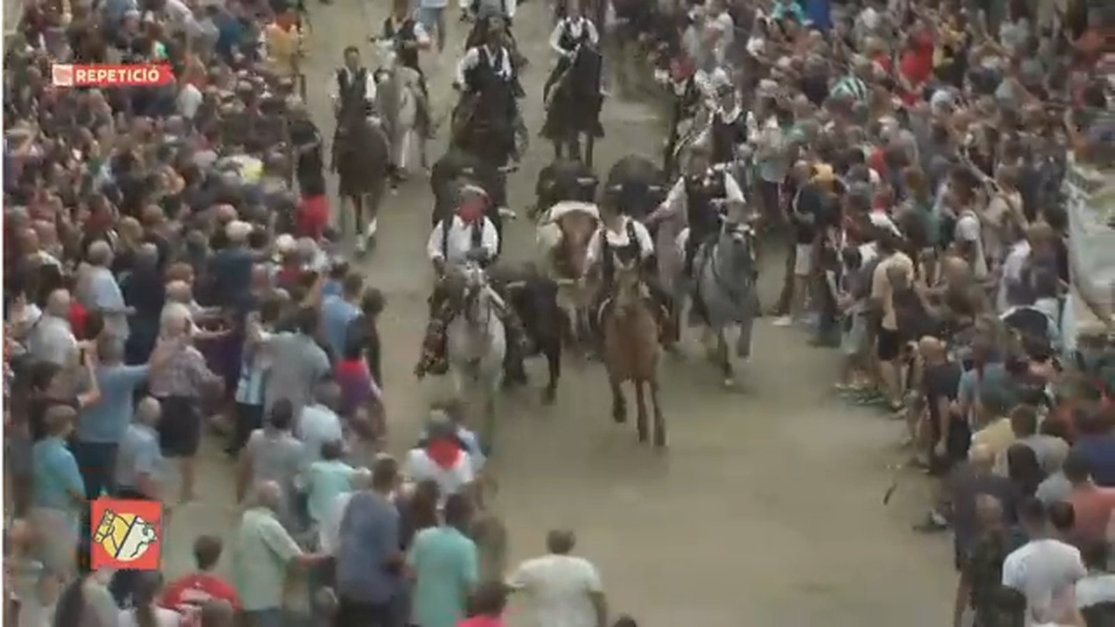 04.09.2023 | ENTRADA BOUS I CAVALLS SOGORB