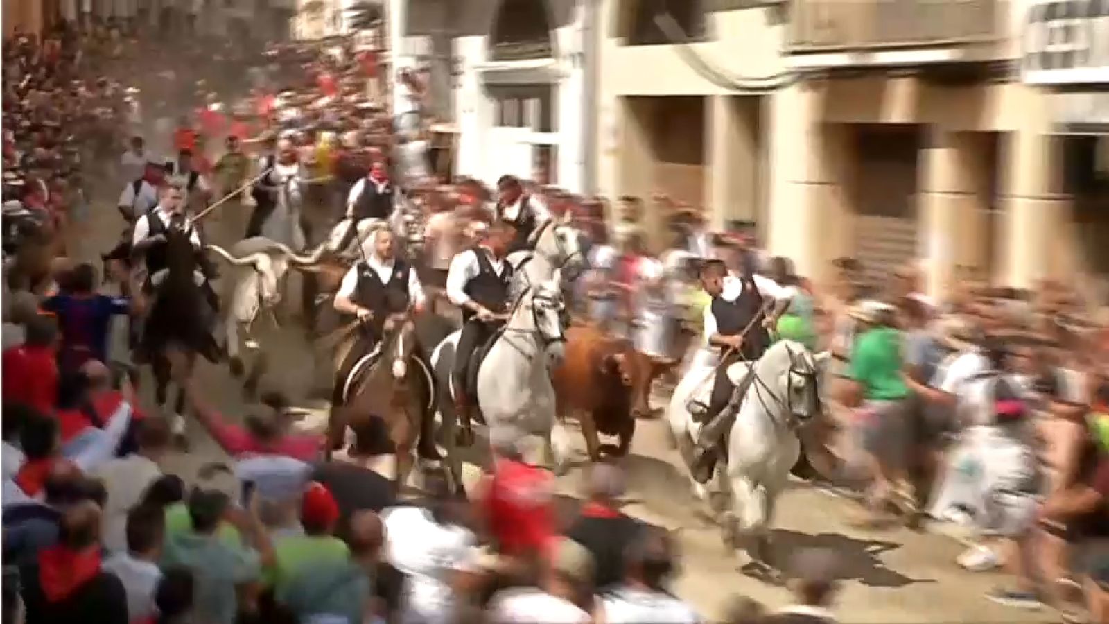 07.09.2023 | ENTRADA BOUS I CAVALLS SOGORB