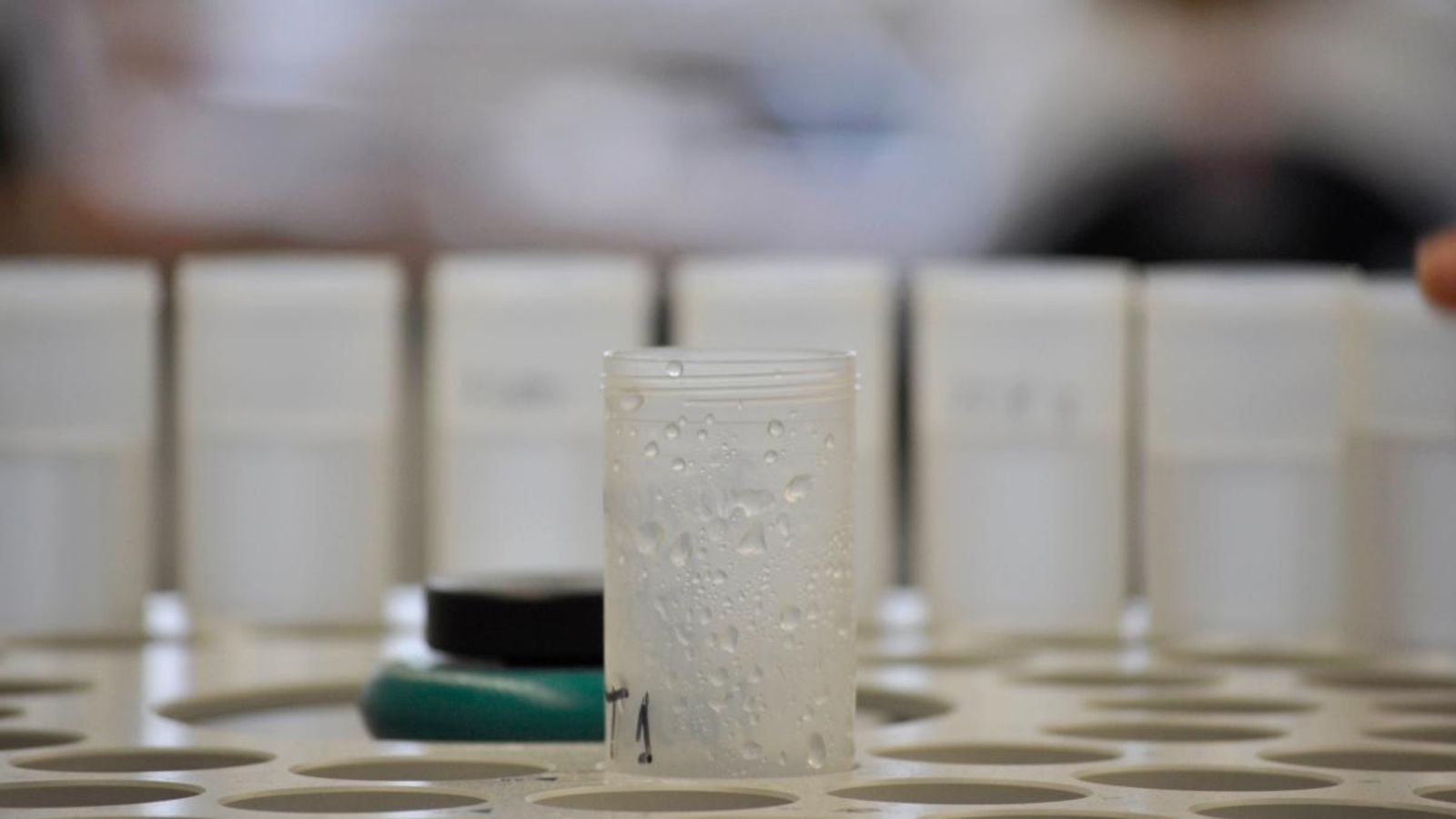 Provetes a un laboratori