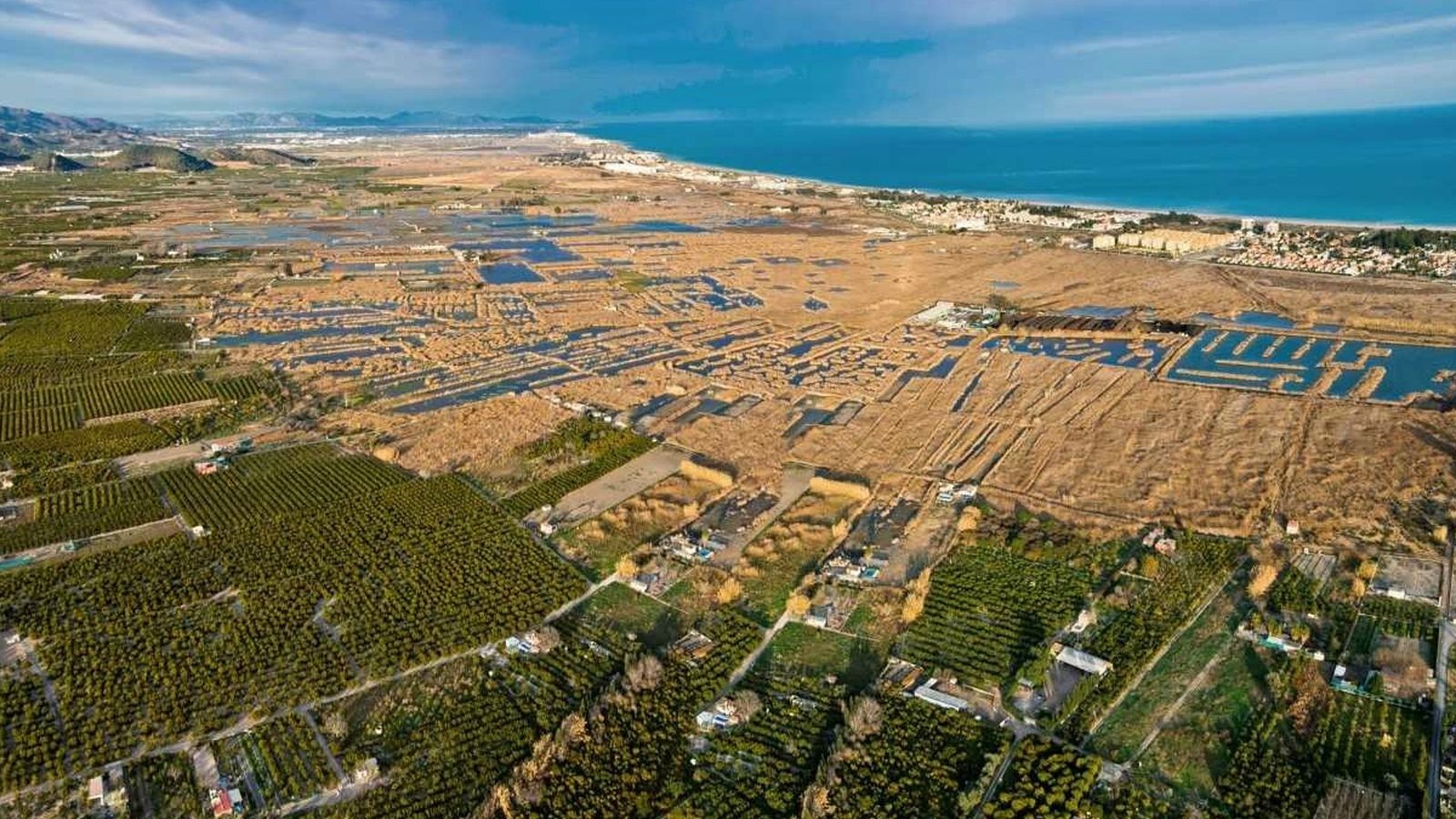 La marjal d'Almenara està situada entre la Plana Baixa i el Camp de Morvedre